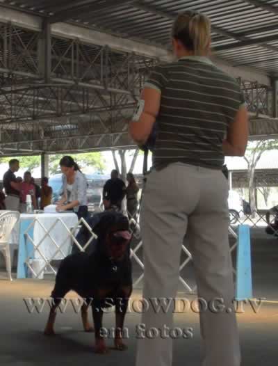 Clique sobre a foto para fechar